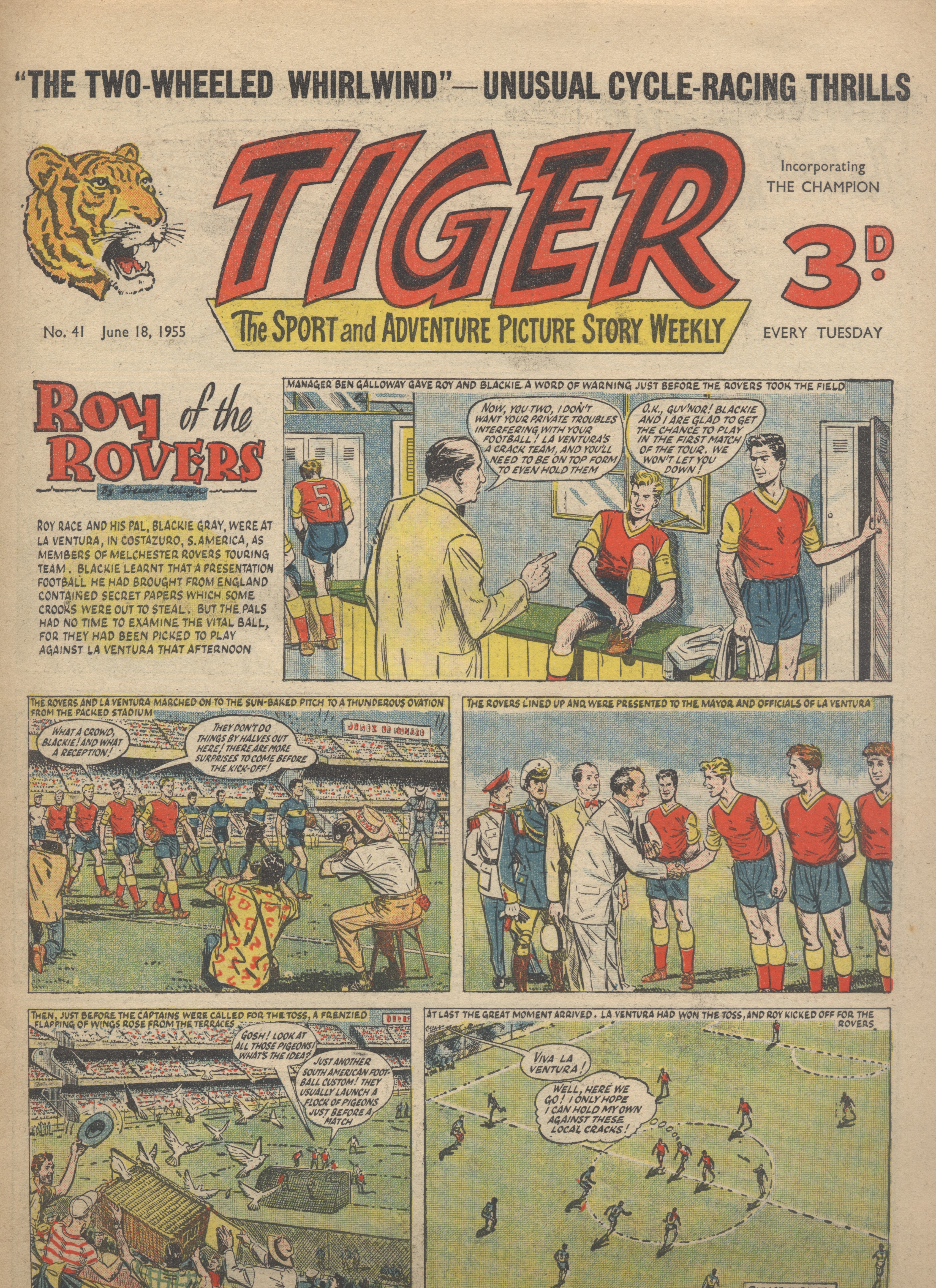 Tiger
